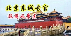 国产wwwwaaa啊阿啊性爱美女露尿口中国北京-东城古宫旅游风景区